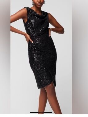 Bundle 👗Anthropologie Teal Color Dress & WHBM Sequin Dress